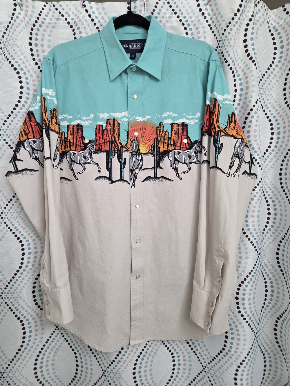 Panhandle Vintage Western Dress Shirt in Teal and Cream